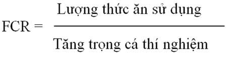 công thức tính hệ số chuyển hóa thức ăn, Kỹ thuật nuôi cá nhụ bốn râu thương phẩm trong ao nước biển