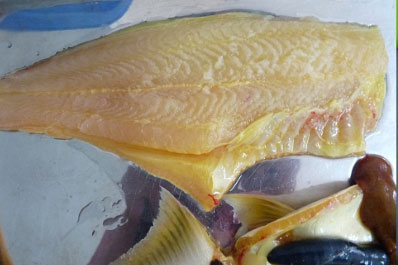 Kỹ thuật xử lý thịt cá tra nuôi thương phẩm bị vàng, thịt cá tra màu vàng
