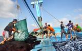 'Lệnh cấm' đánh bắt của TQ trên Biển Đông: Vô nghĩa với ngư dân ta