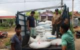 Bắt giữ hơn 8 tấn đường lậu ở vùng biên Lao Bảo