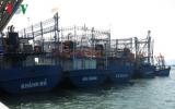 Bình Định: Tàu vỏ sắt nằm bờ, phải đền bù thiệt hại cho ngư dân