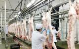 Bộ NN&PTNT chuẩn bị gì cho tham vọng tăng xuất khẩu thịt lợn?