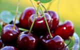 Cherry Trung Quốc giá 120.000 đồng/kg tràn ngập chợ mạng