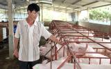 Cục Chăn nuôi: Phải giảm giá lợn hơi, dù nhiều người không đồng ý