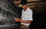 Đắk Nông: Lão nông khởi nghiệp từ chim quý, thu tiền tỷ mỗi năm
