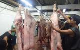 Giá lợn (heo)hôm nay (24.10): Thương lái Xuyên Á cam kết không tiêm thuốc an thần vào heo, Đông Nam Bộ giảm còn 25.000 đ/kg