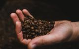 Giá nông sản hôm nay 16/1: Giá cà phê chưa thể bật lên mốc 37.000 đồng/kg, giá tiêu vẫn giảm sâu kỉ lục