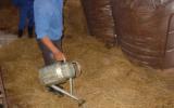 Kỹ thuật ủ rơm làm thức ăn cho trâu bò