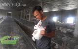 Làm giàu ở nông thôn: Bỏ nghề máy xúc về nuôi thỏ, lãi đều 15 triệu/tháng