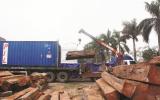 Lo đủ đường khi gia tăng NK gỗ từ châu Phi