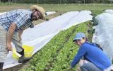 Lớp học nông nghiệp hữu cơ ngày càng 