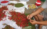 Malaysia bất ngờ dừng nhập khẩu ớt từ Việt Nam