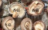 Nấm hương Nhật giá hơn 8 triệu đồng một kg