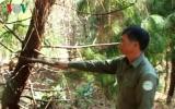 Nhân viên bảo vệ rừng tử vong trên đường tuần tra