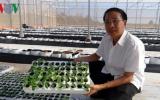 Nông nghiệp công nghệ cao - Hướng đi mới của Bình Thuận