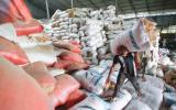 Philippines có kế hoạch nhập khẩu 250.000 tấn gạo