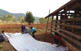 Phòng chống dịch bệnh cho vật nuôi trong mùa mưa bão