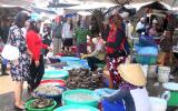 Phú Yên: Sau Tết, giá hải sản ở mức cao, sức tiêu thụ vẫn lớn