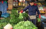 Rau xanh tại Đắk Lắk tăng giá đột biến