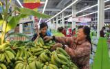 Siêu thị Big C giải cứu 100 tấn chuối ở Đồng Nai