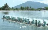 Tạo khí oxy cho hồ nuôi trồng thủy sản