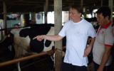 Tập huấn kỹ thuật chăn nuôi bò sữa