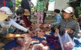 Tiền Giang: Người chăn nuôi ồ ạt bán tháo lợn để tự 