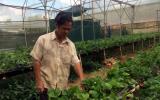 Tôi là nông dân 4.0: Lão nông làm vườn bằng... iPhone 7 Plus
