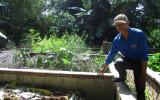 Trai trẻ miền Tây kiếm bộn tiền nhờ nuôi lươn không bùn