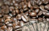 Trồng cà phê - cây tỉ 'đô', nhưng nông dân chỉ thu được vài phần trăm lợi nhuận