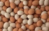 Trứng gà đang rớt giá 'thảm hại'