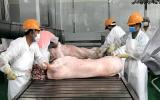 Trung Quốc khen thịt lợn Việt Nam ngon nhưng... không mua