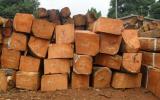 Việt Nam nói không với gỗ bất hợp pháp để xây dựng hình ảnh gỗ Việt