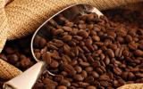 Xuất khẩu cà phê được dự báo giảm