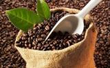 Xuất khẩu cà phê lấy lại đà tăng trưởng