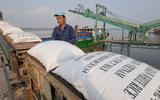 Xuất khẩu gạo, cao su Việt Nam tăng vọt