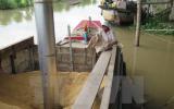 Xuất khẩu gạo của Việt Nam lại rơi vào vòng xoáy trầm lắng