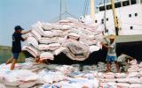 Xuất khẩu gạo sang Trung Quốc sẽ tập trung vào chính ngạch