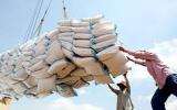 Xuất khẩu gạo tiếp tục giảm 20%