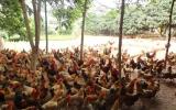Yêu cầu chuồng trại chăn nuôi gà thả vườn (Cẩm nang chăn nuôi gà lông màu thả vườn - P1)
